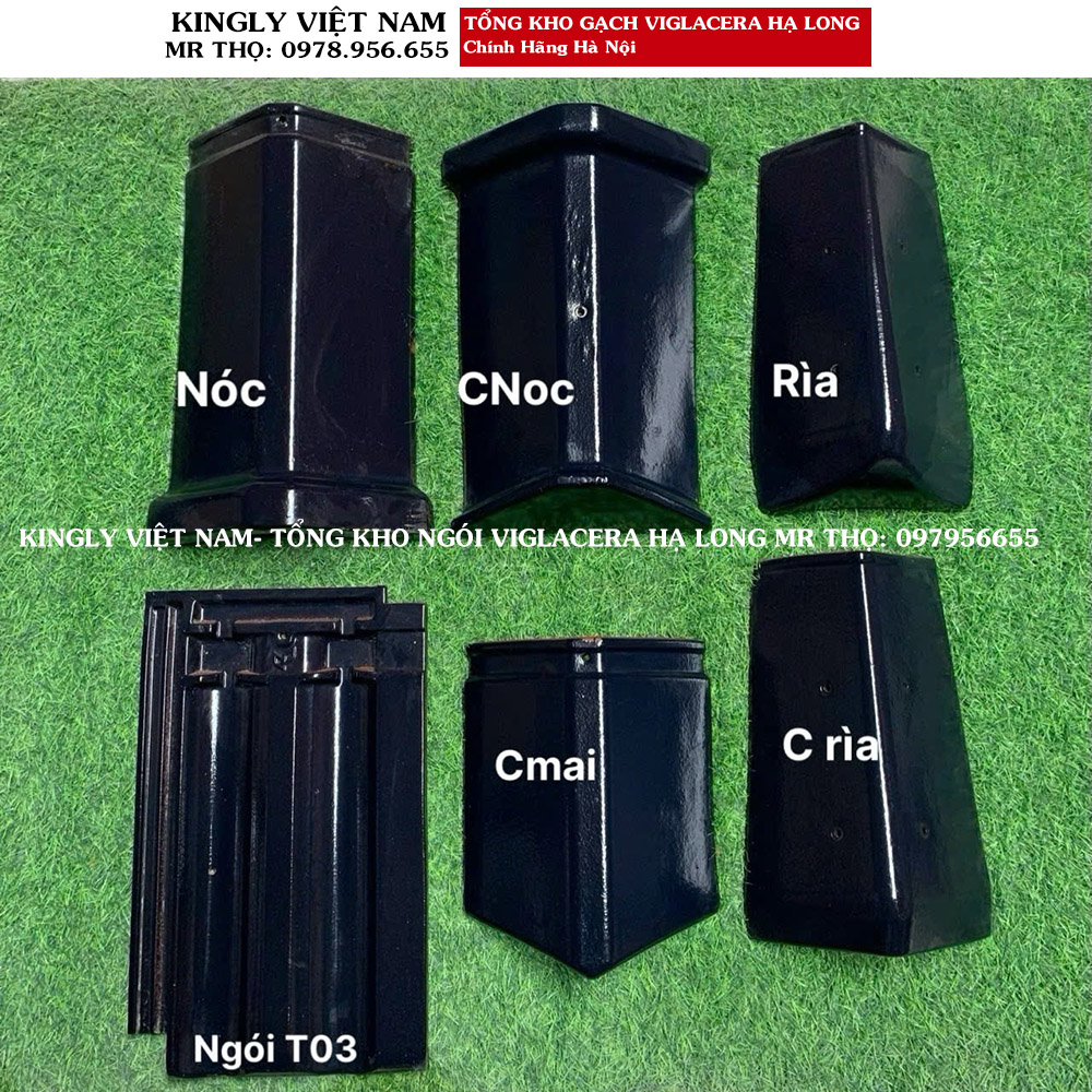 Ngói Tráng Men Viglacera Hạ Long EURO COTTO T03 Loại A1